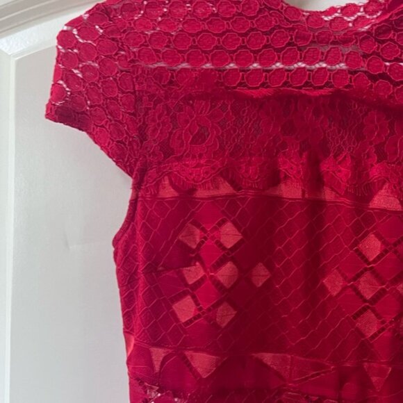 Red Lace Fit & Flare Dress - Picture 5 of 5